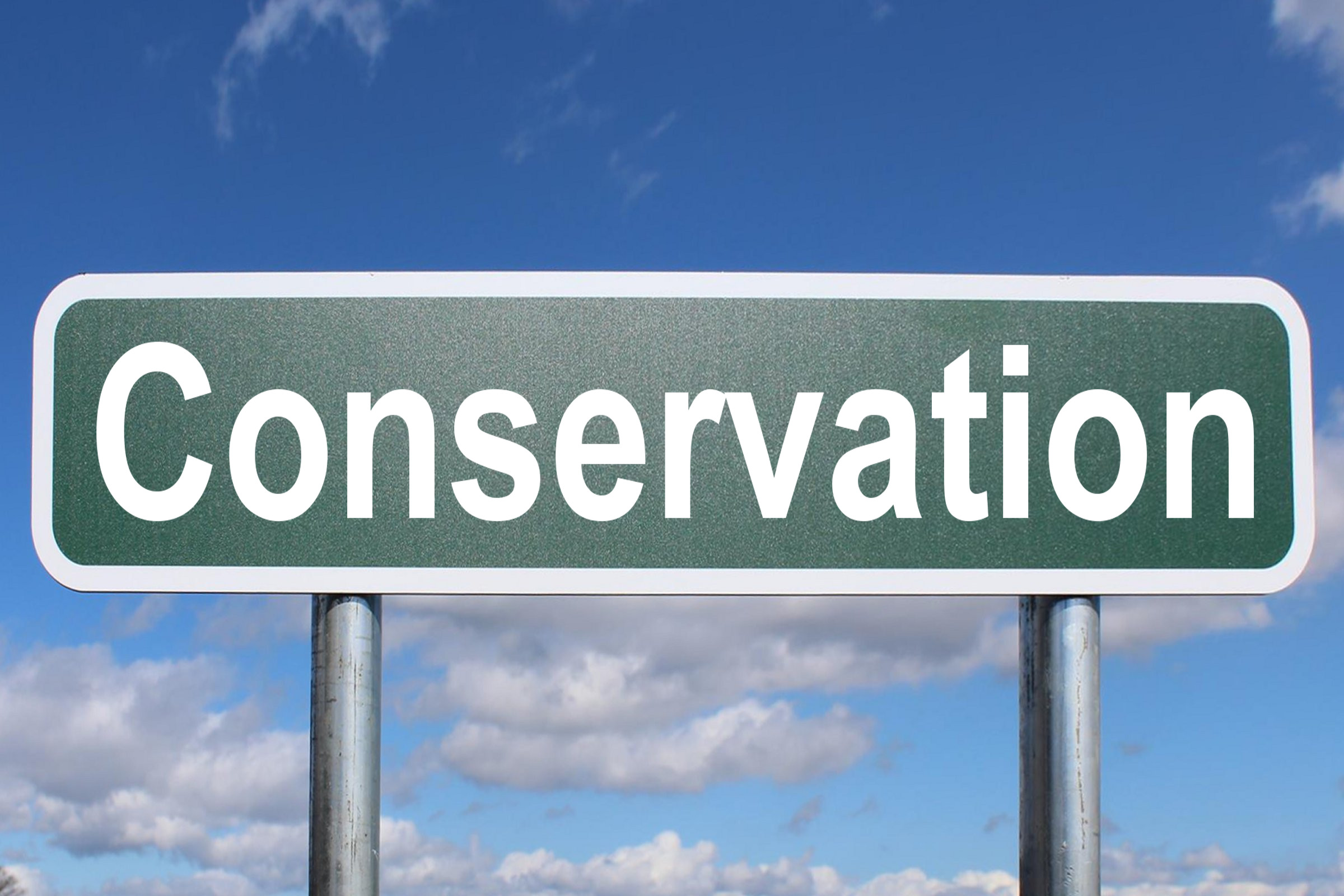 3. Conservation and Preservation: Ensuring the Endurance of Earth's Astonishing Natural Wonders