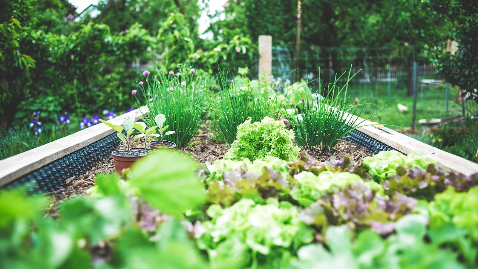 Heading 3: Cultivating Botanical Beauty: Tips⁣ for Creating a Spectacular​ Backyard Garden